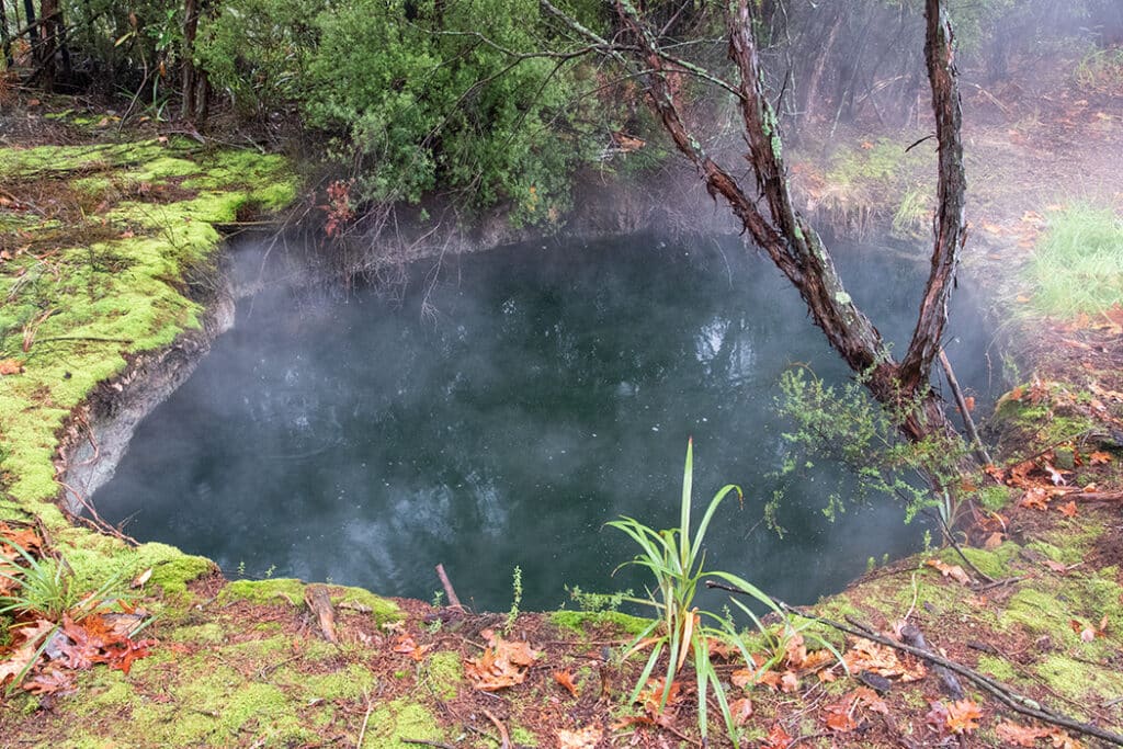 Alkaline chloride spring in Kuirau Park