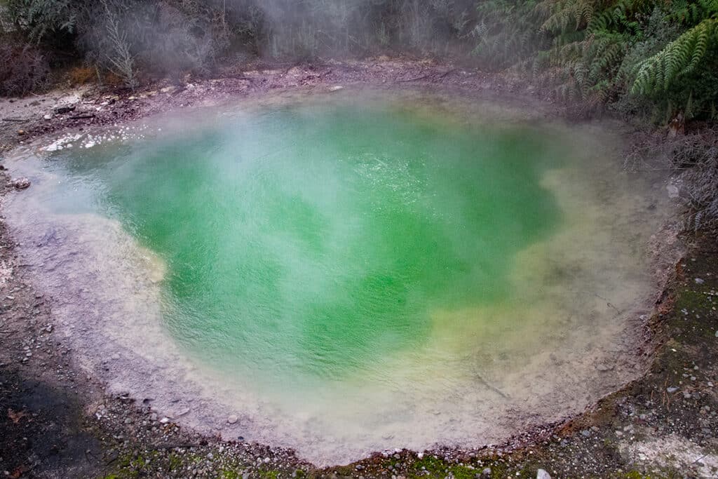 Green Alkaline chloride spring in Kuirau Park