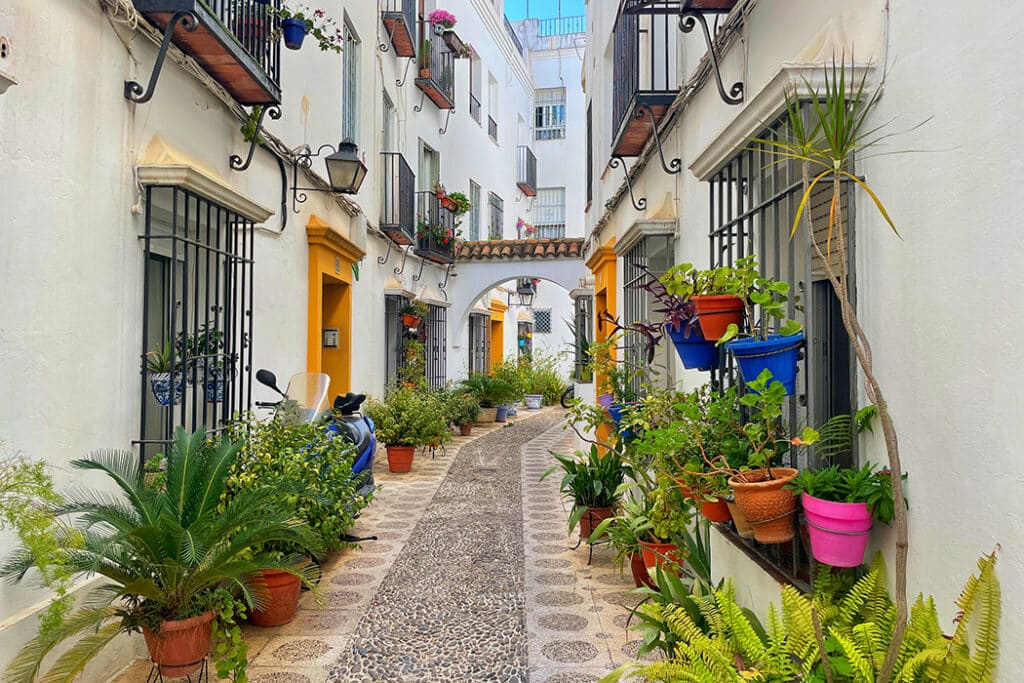 things to do in cordoba - visit calleja del indiano