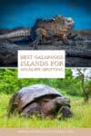Best galapagos islands for spotting wildlife