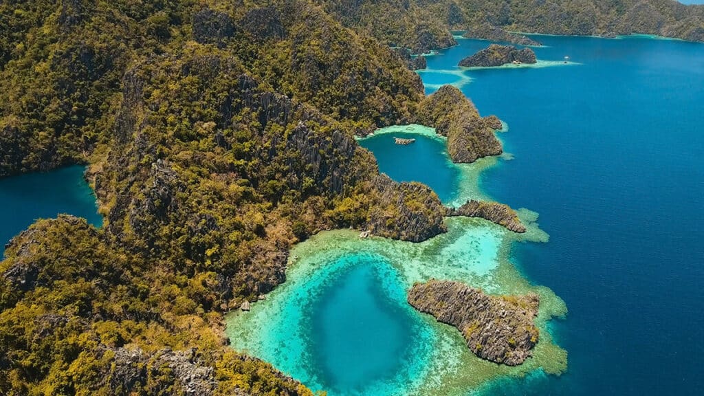 Things to do in Palawan - dive Lake Barracuda