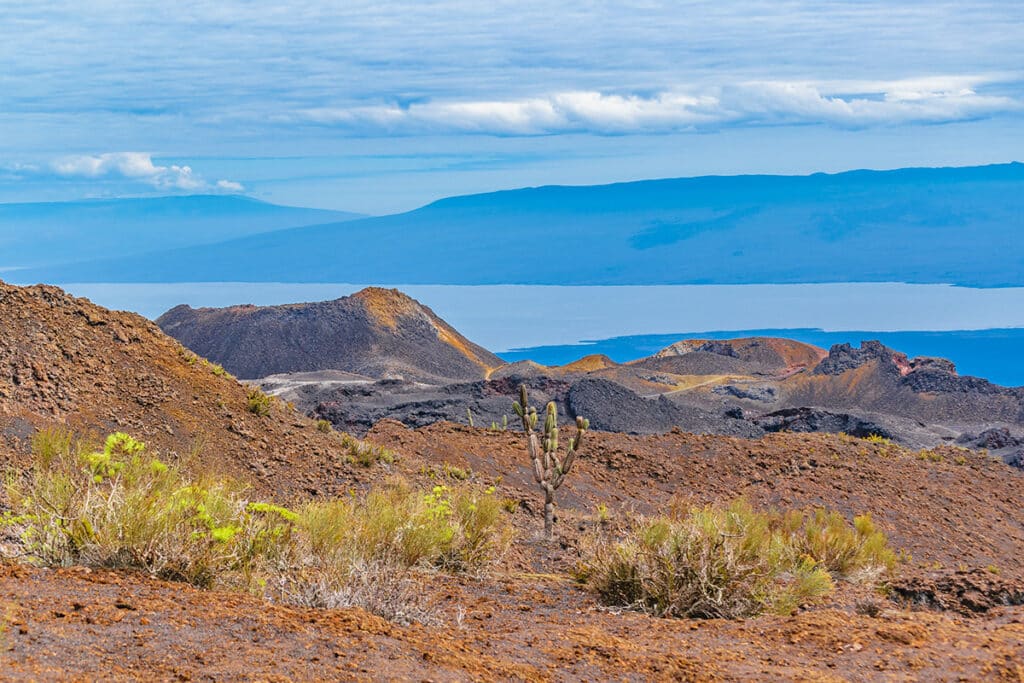 Which galapagos islands to visit? Sierra Negra volcano on Isabela island