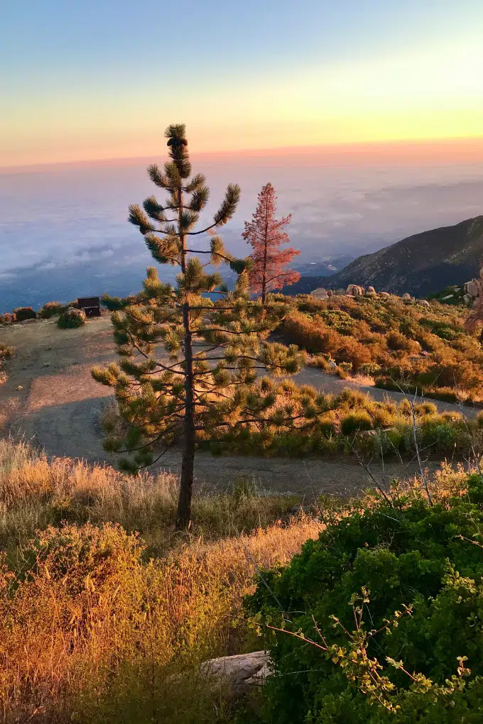 Adventures in Santa Barbara