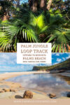 Palm Jungle Loop Track