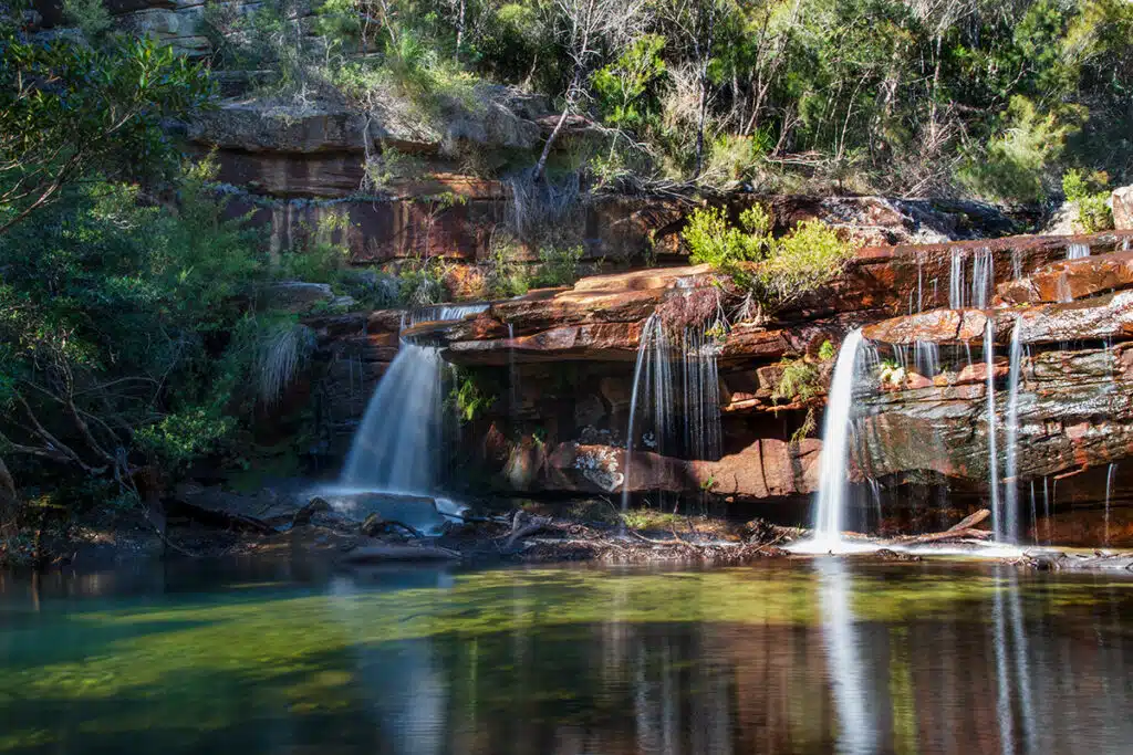 Winifred Falls in Royal National Park