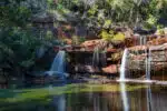 Winifred Falls in Royal National Park
