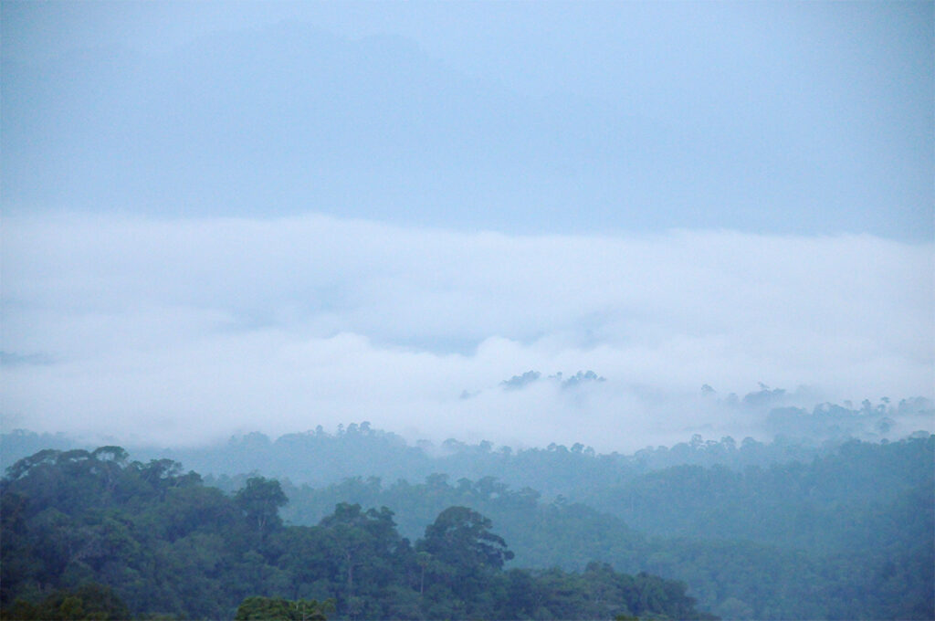 Sea of mist in Kaeng Krachan National Park