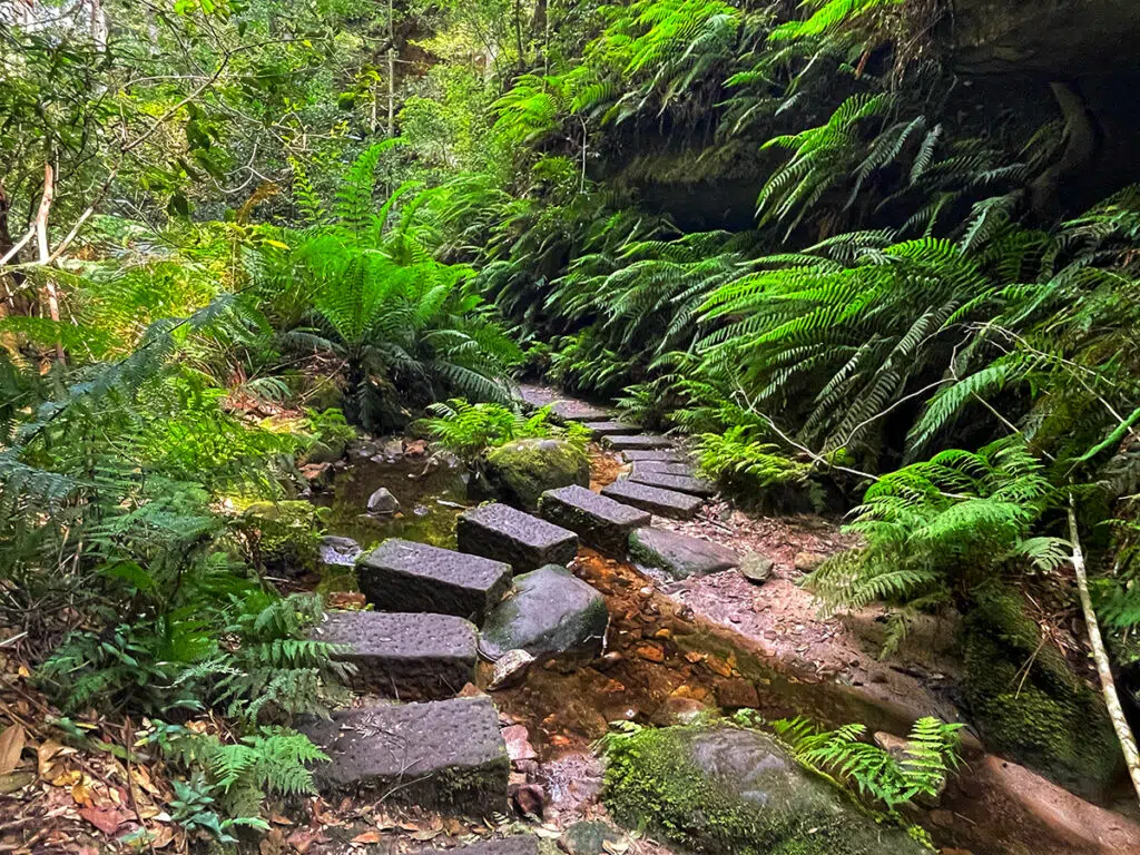 stepping stones over the creek along Grand Canyon track