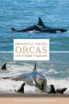 Peninsula Valdes orcas and other wildlife