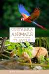 Costa Rica Animals
