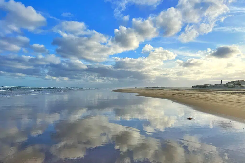 Stockton beach on Nelson Bay dolphin cruise tour from Sydney