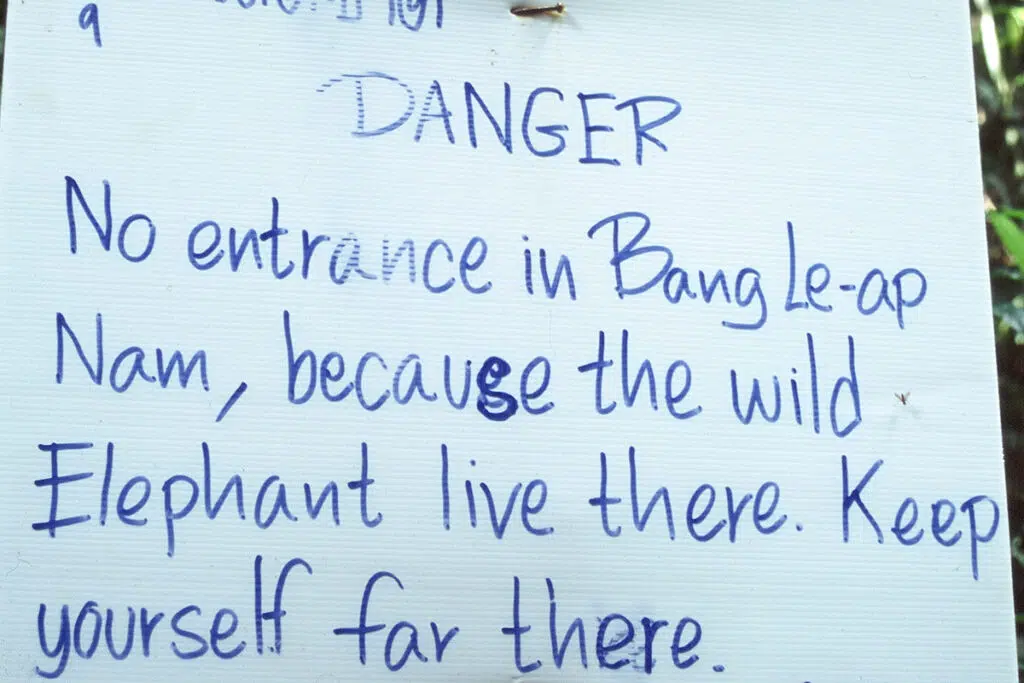 Elephant sign in Khao Sok