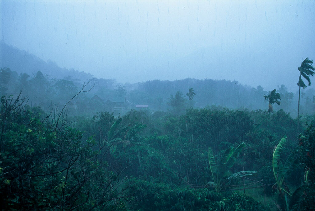 tropical downpour in Khao Sok