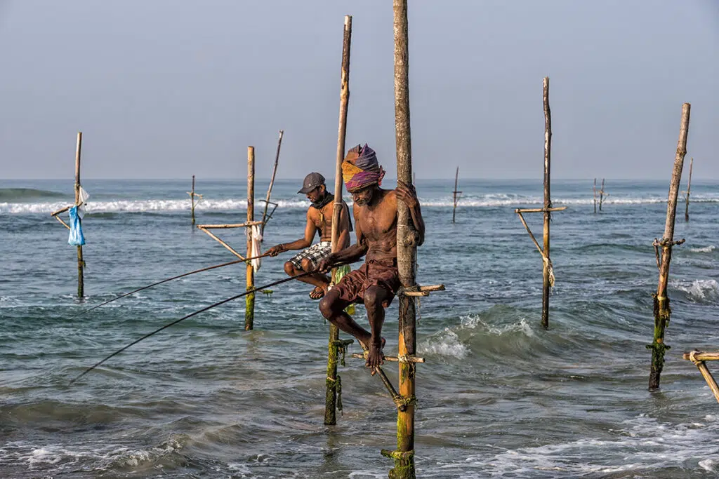 Stilt fisherman in Sri Lanka