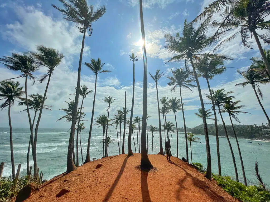 Things to do in Mirissa - visit coconut tree hill