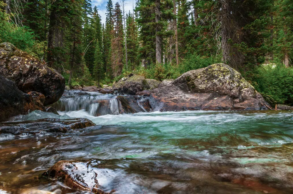 Cascade Creek - best hikes in Grand Teton National Park