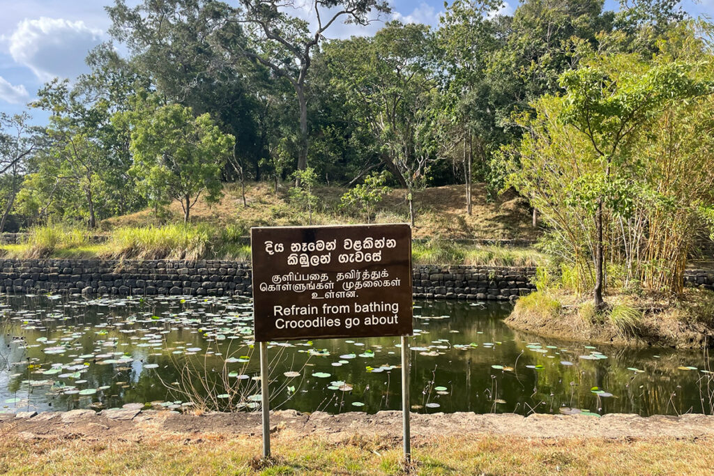 Things to do in Sigiriya - look for crocodiles in Sigiriya moat