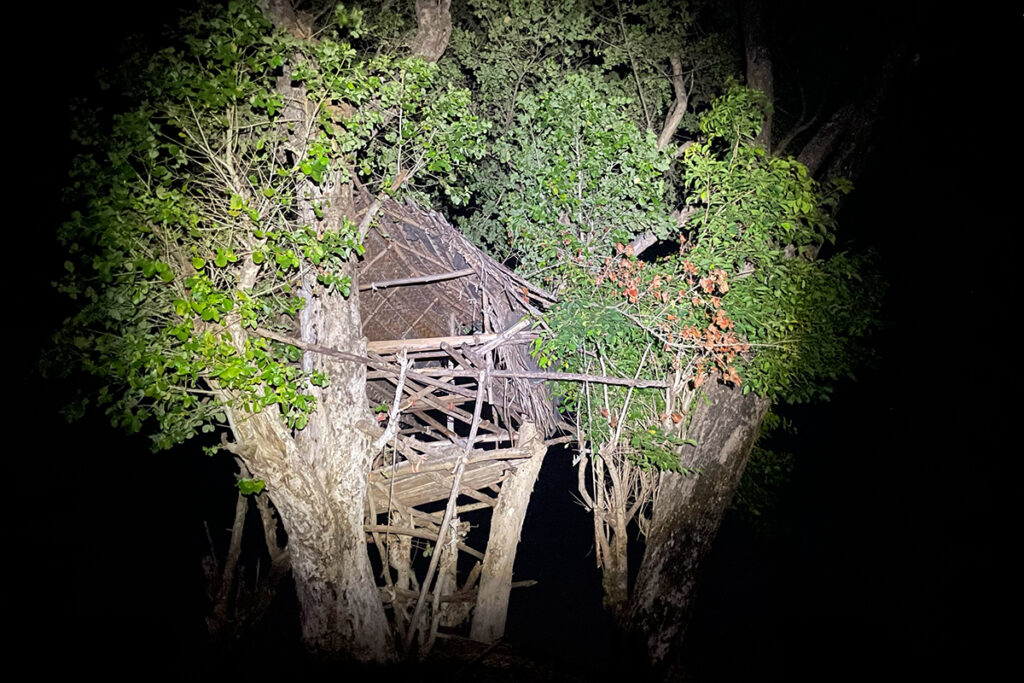 Things to do in Sigiriya - see elephant-proof tree houses