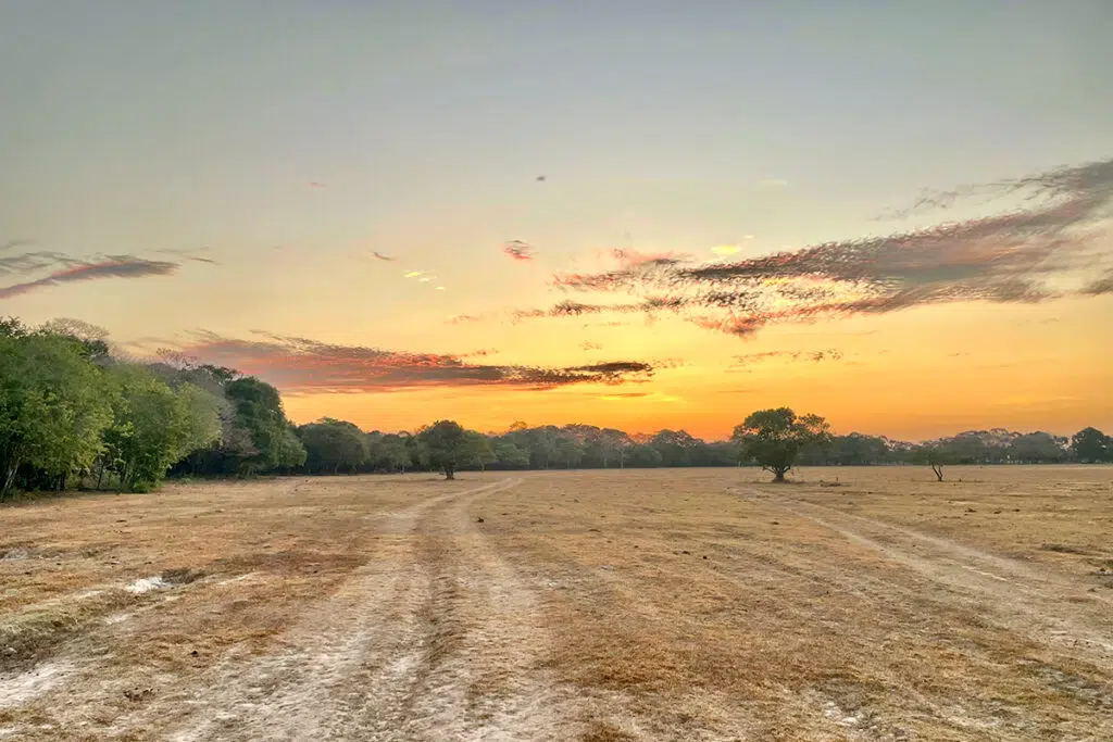 Llanos Orientales sunset