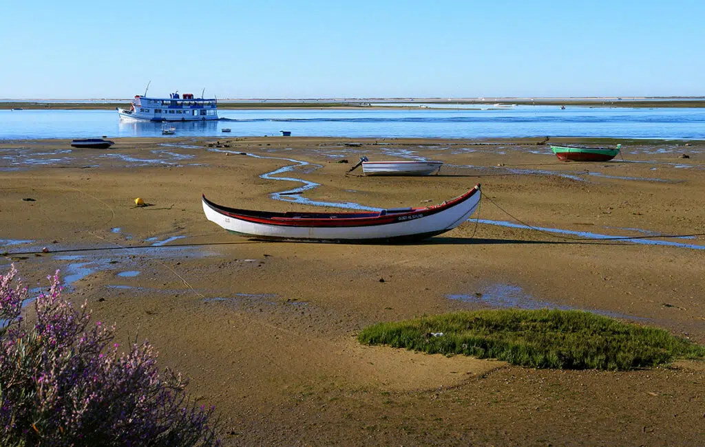 coastal marsh in ria formosa natural park