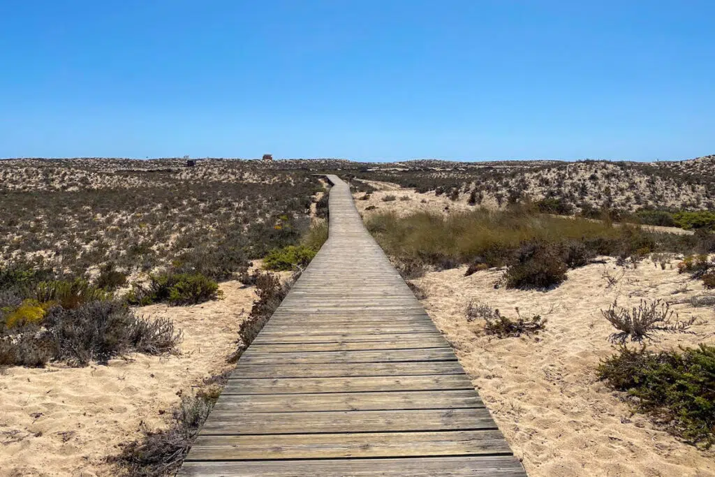 wooden walkway at ria formosa natural park