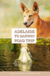 Adelaide to Darwin road trip