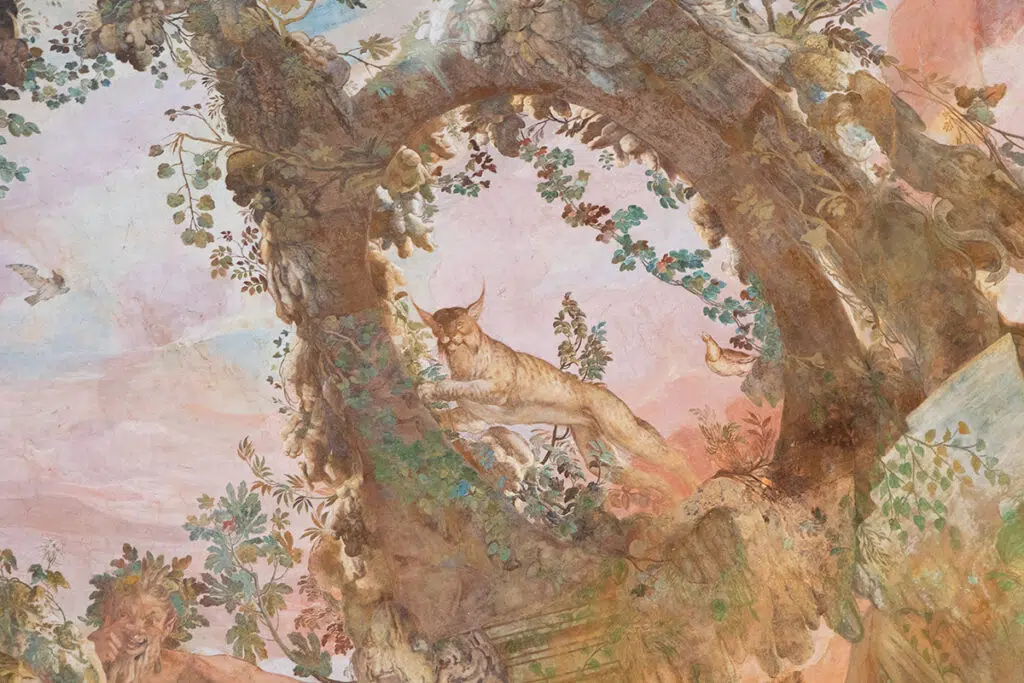 Renaissance cats - lynx in Buontalenti Grotto
