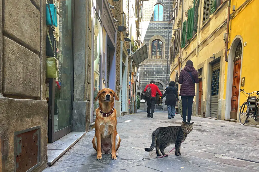 Explore the city streets in your 3 days in Florence