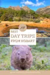 Day trips from Hobart