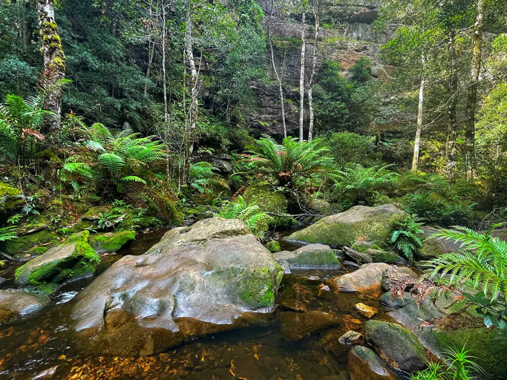 Grand Canyon track scenery