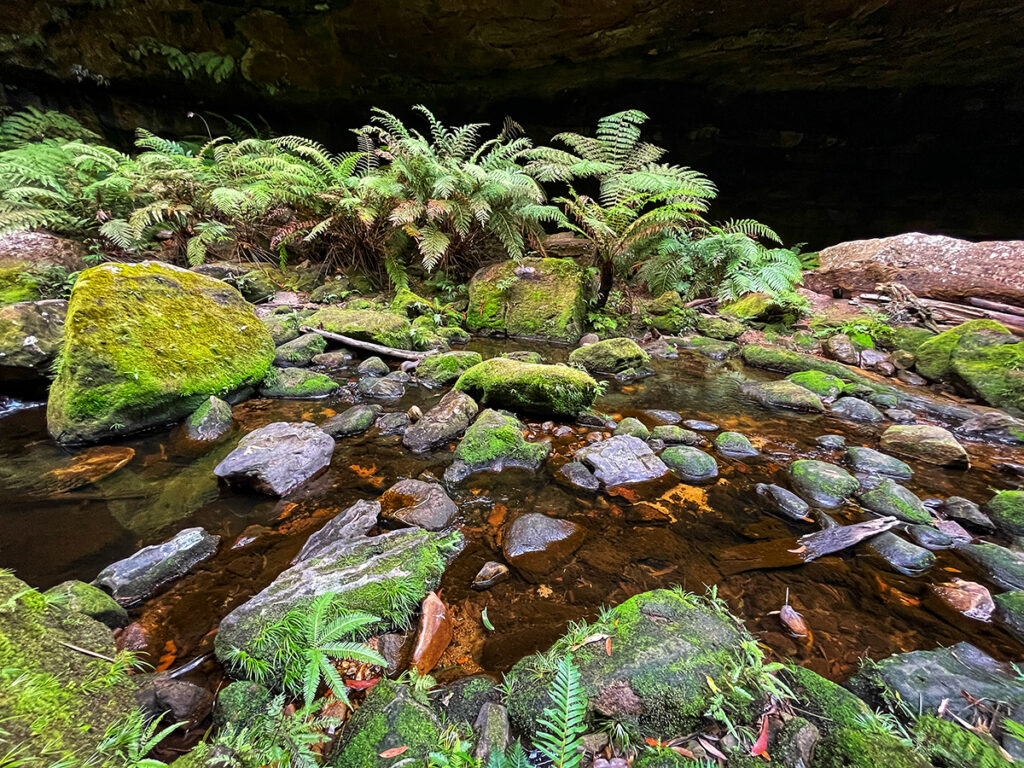 Creek and mossy rocks along Grand Canyon track in the Blue Mountains
