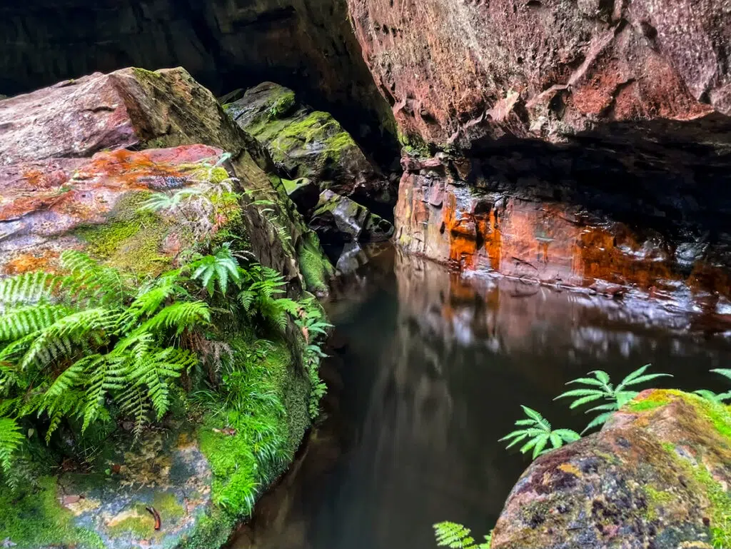 Grand Canyon walk in the Blue Mountains - creek on the canyon floor