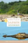 Things to do in Darwin for nature buffs