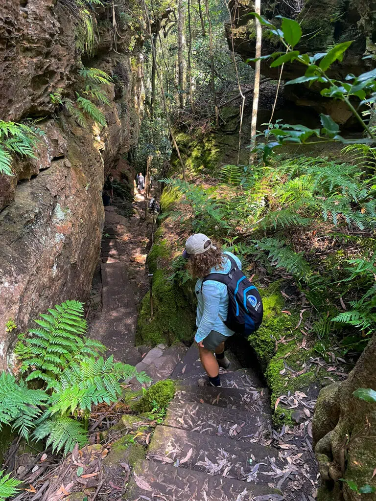 Descending into the Grand Canyon in the Blue Mountains