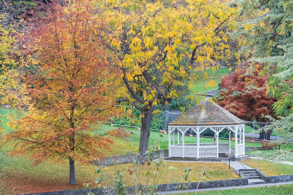 Things to do in Hobart for nature lovers - Hobart botanical gardens