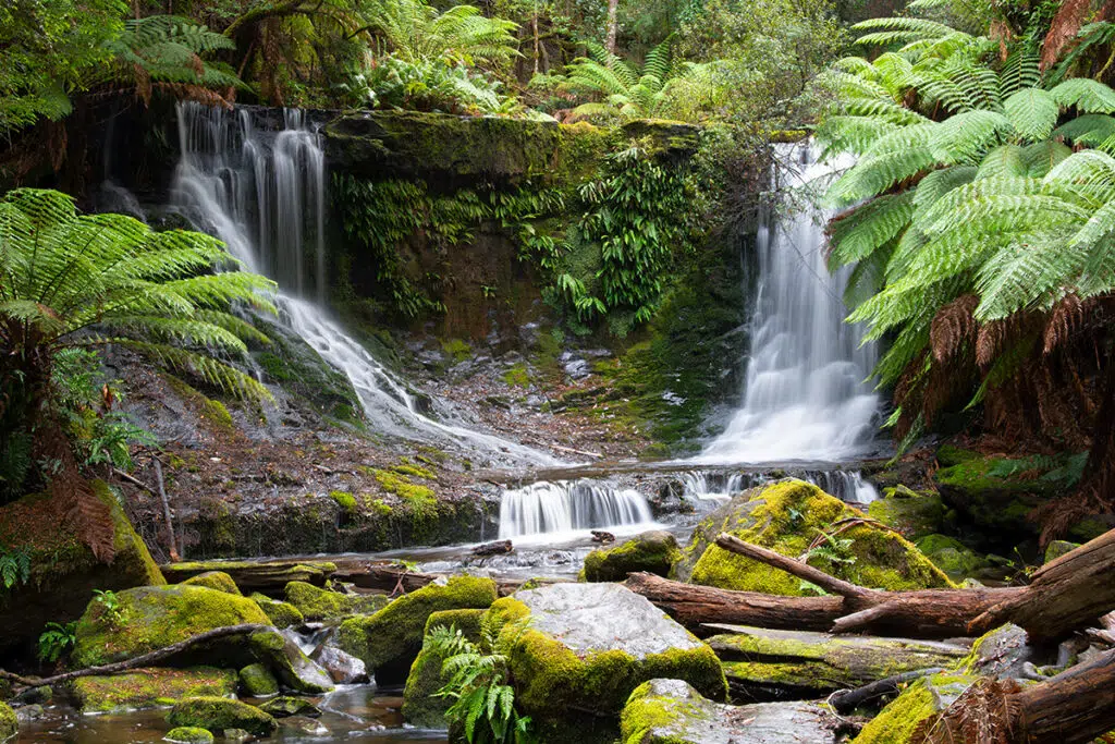 Horseshoe Falls in Mount Field National Park