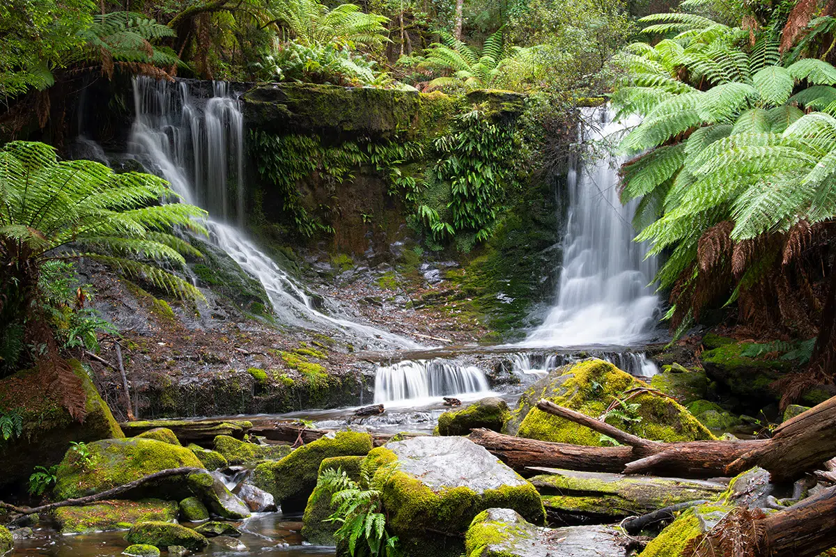 Horseshoe Falls in Mount Field National Park