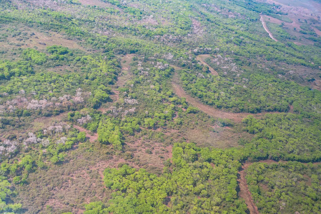 aerial view of the pantanal in Brazil