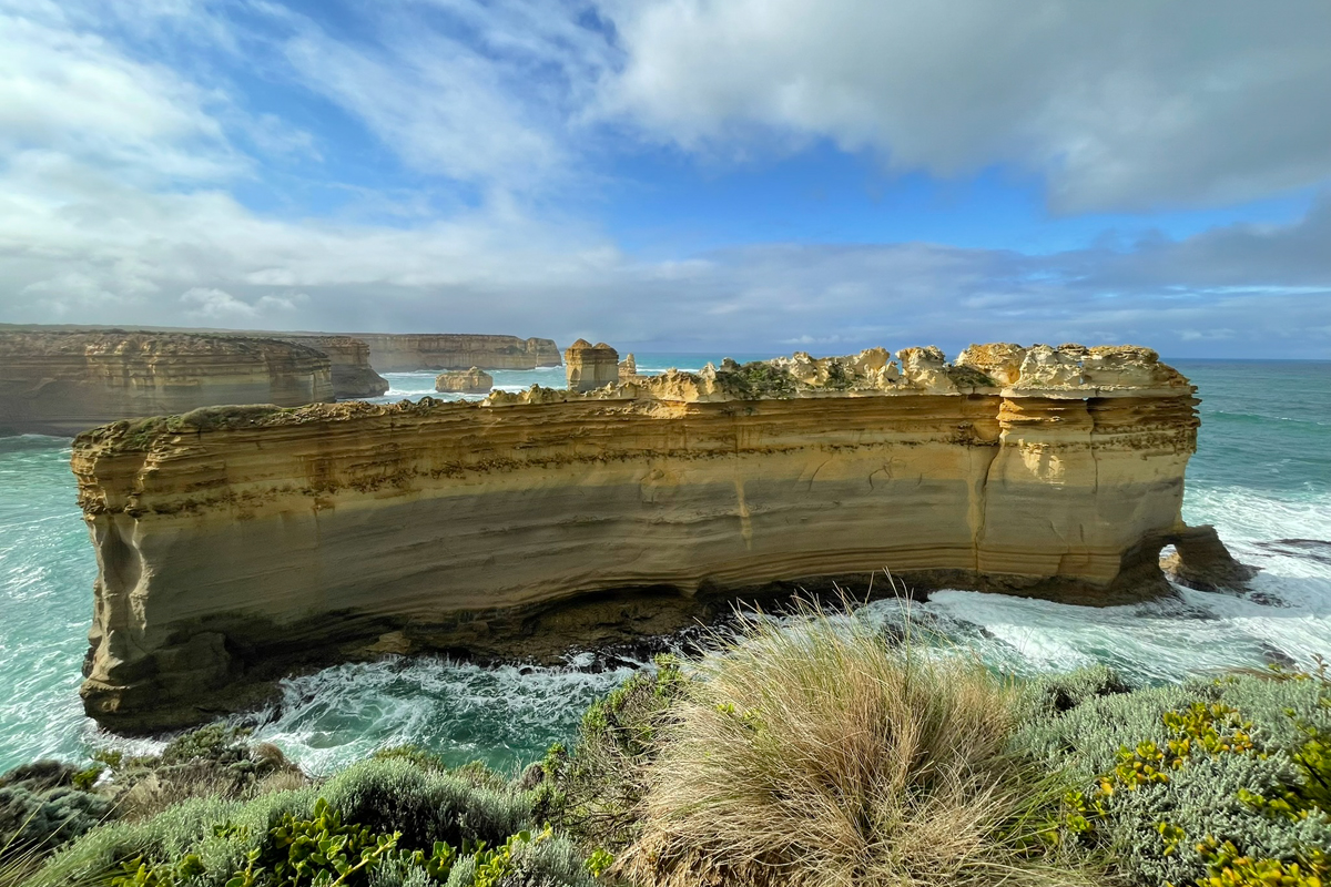 Razoback on Great Ocean Road