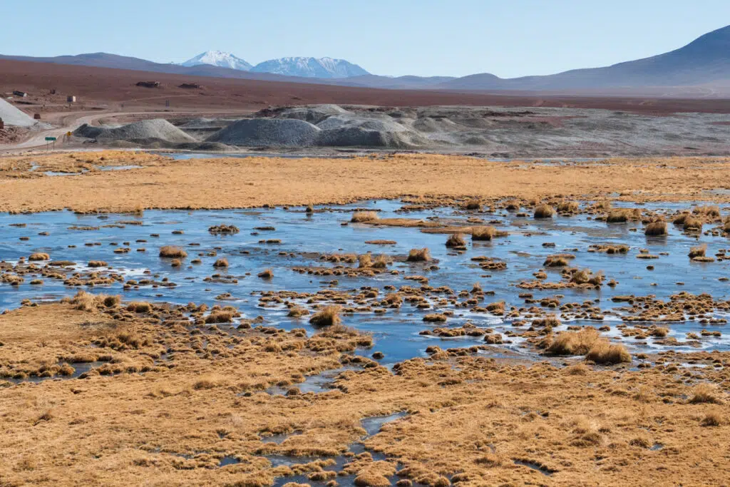 Machuca wetland in the Atacama desert