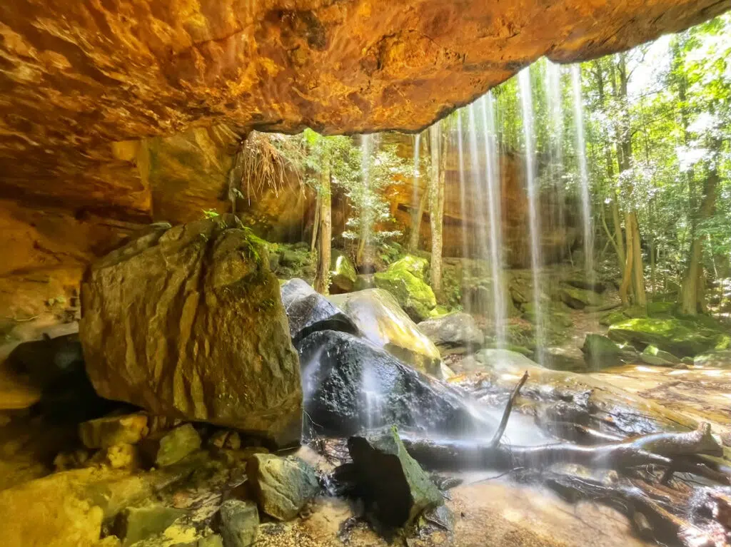 Oakland Falls on Horseshoe Falls track in the Blue Mountains