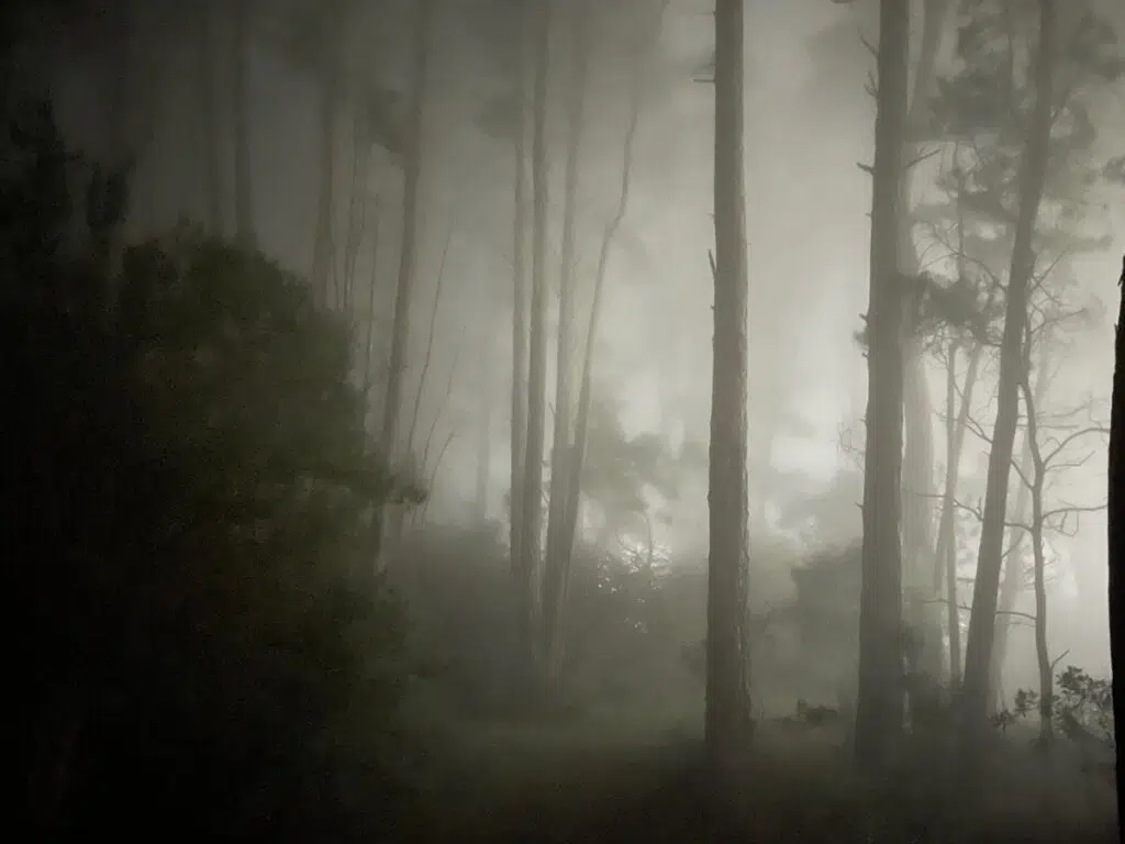 Fog moving in at Possums Hideaway