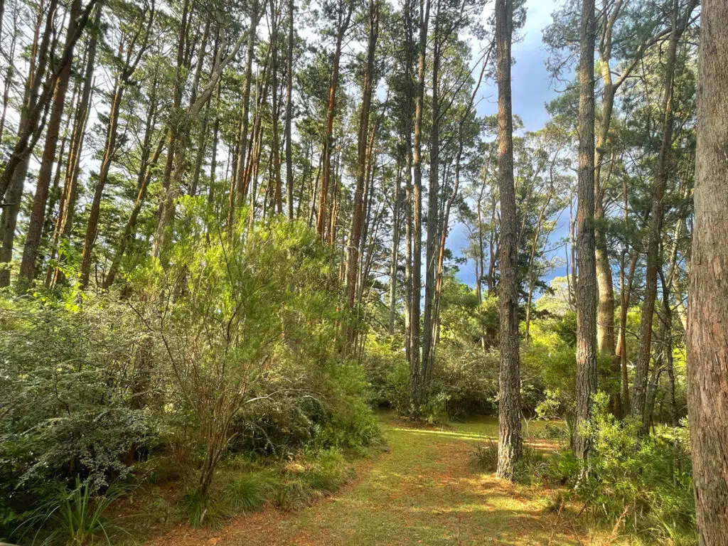 Blue Mountains getaway at Possum's hideaway