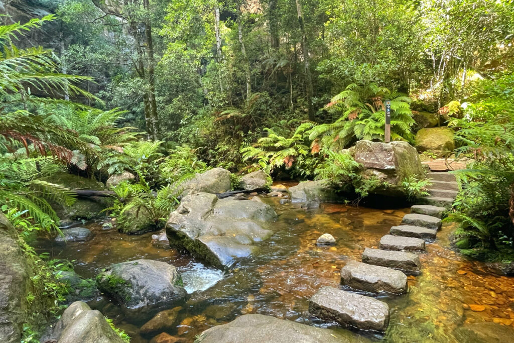 stepping stones across a creek