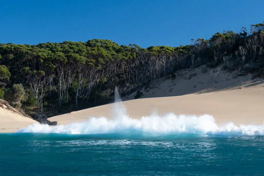 Ladies Bay on Tasman peninsula