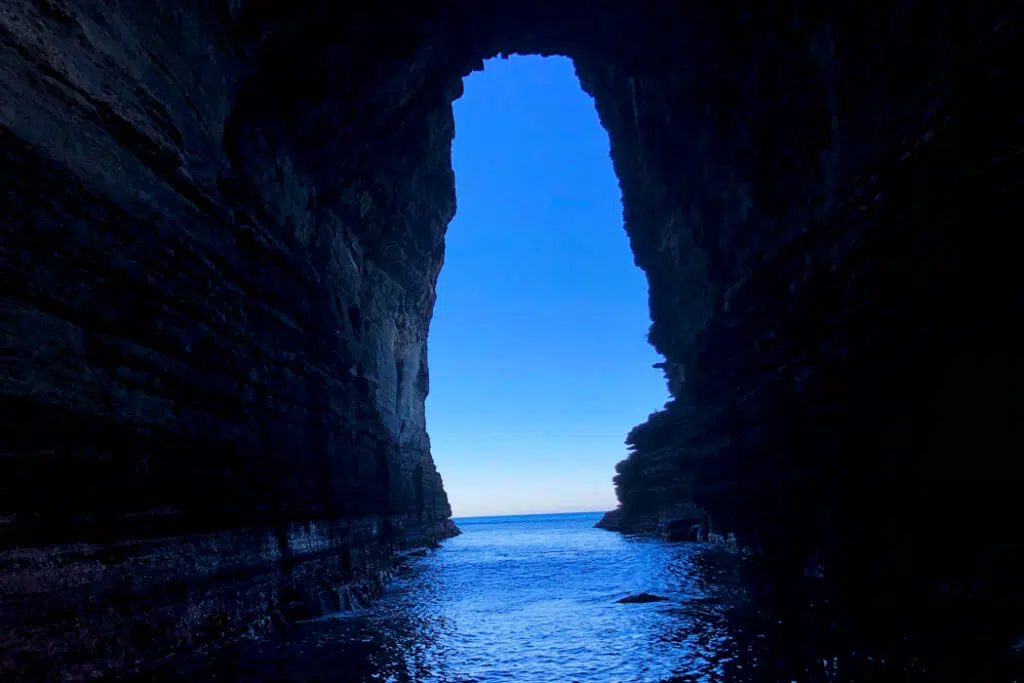 Inside the sea cave on the Tasman Peninsula cruise